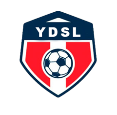 Youth Development Soccer League